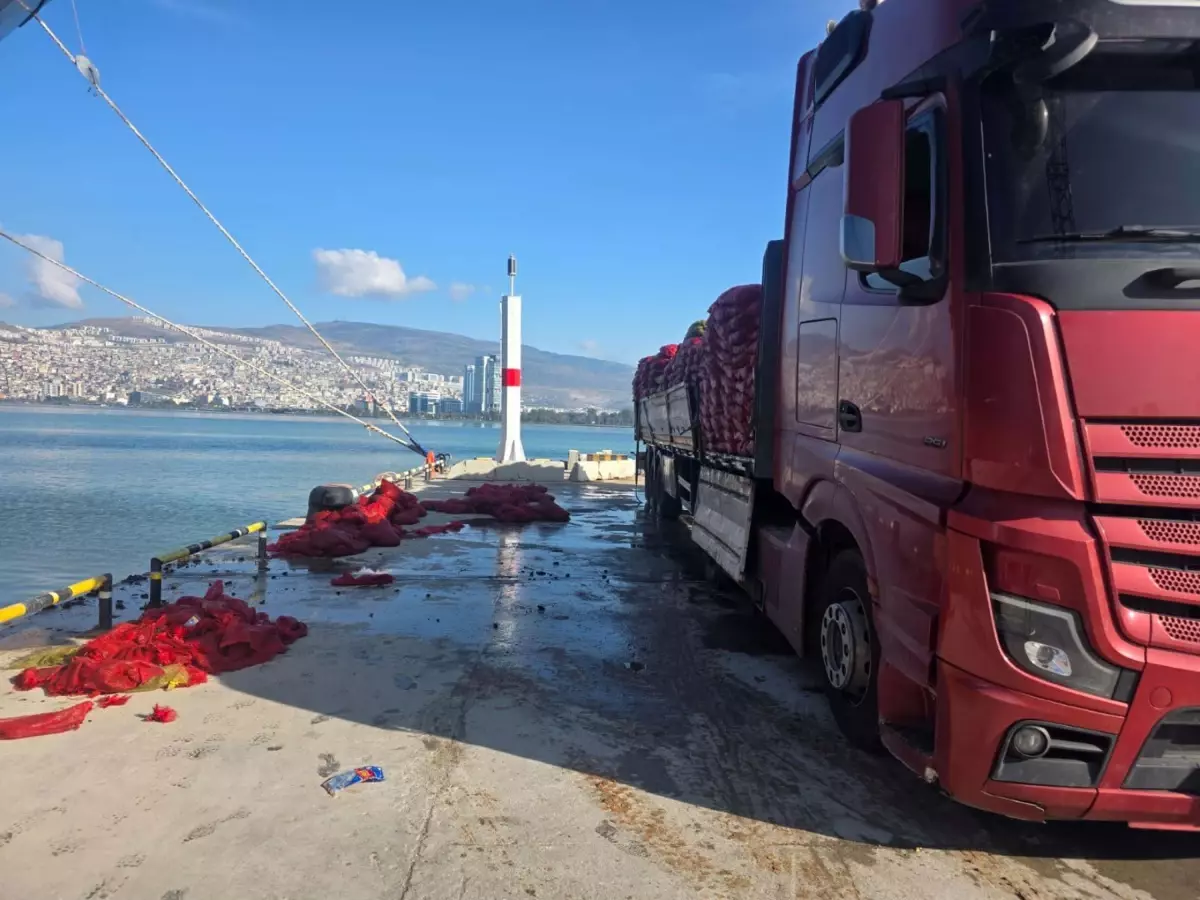 İzmir’de 27 Ton Yasa Dışı Kara Midye Ele Geçirildi!
