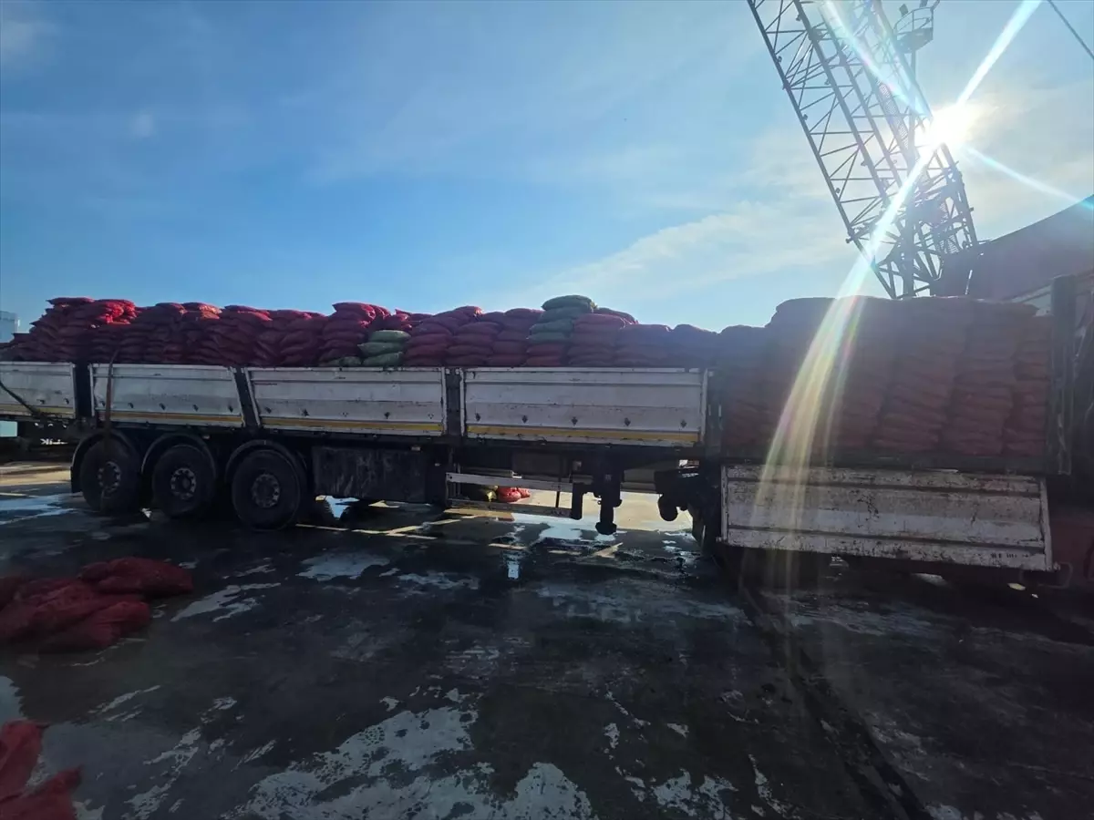 İzmir’de 27 Ton Kaçak Midye Denize İade Edildi!