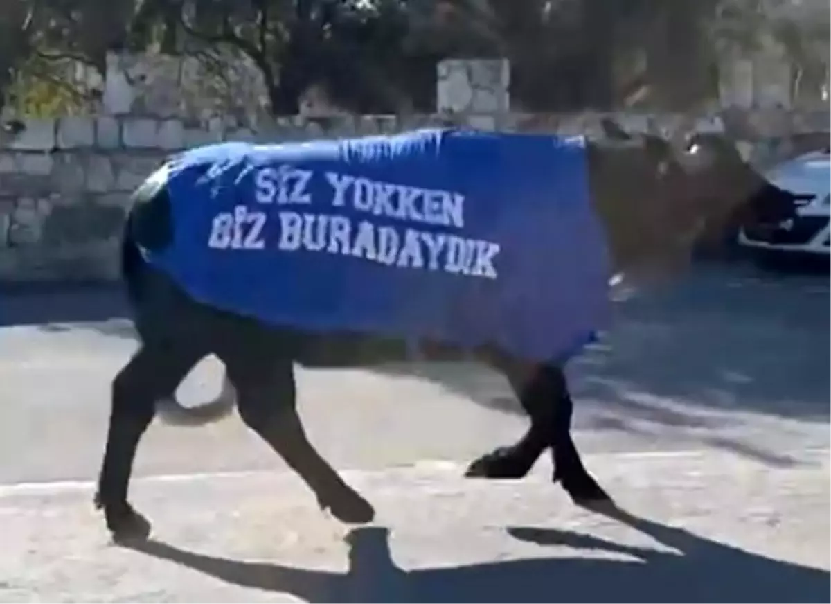 Özel Okulun Mandalarına Protesto Kıyafetleri Giydirildi!