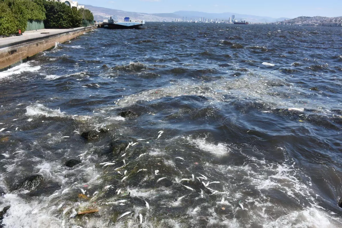 İzmir Körfezi’nde Kötü Koku ve Kirli Su Alarmı!