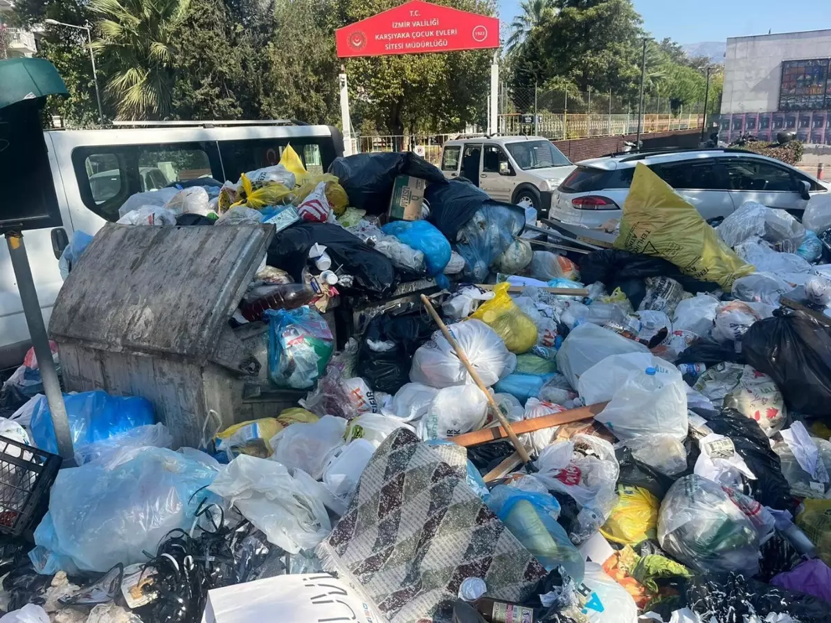 İzmir’de Karasinek Patlaması: İklim ve Çöp Etkisi!