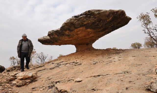 Doğanın Mucizesi: Mantar Kaya Hayrete Düşürüyor!