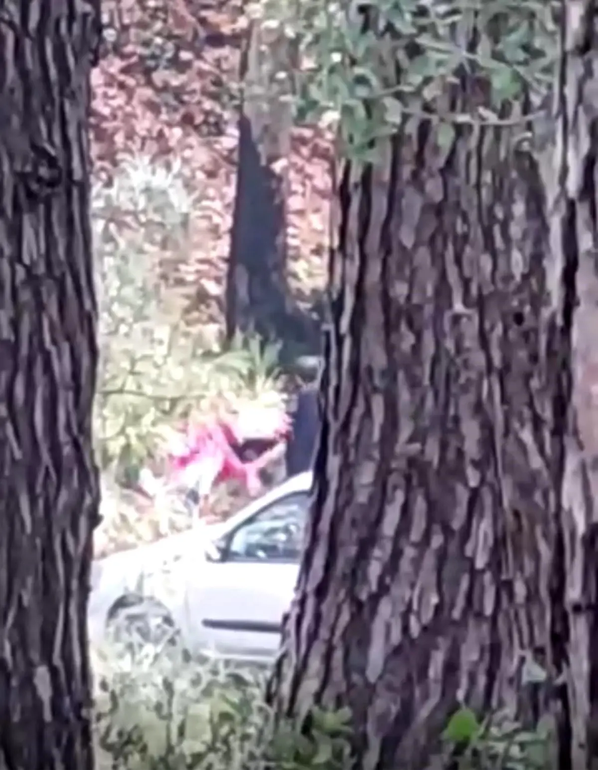 Buca’da Kadına Saldırı Anlık Görüntülerle Kaydedildi