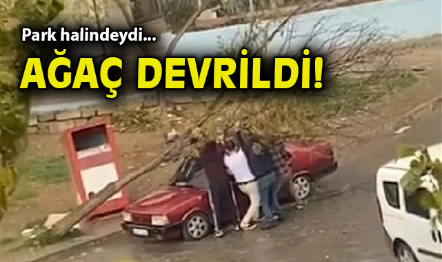Şiddetli Rüzgar, Ağaç ve Otomobil Devrildi!
