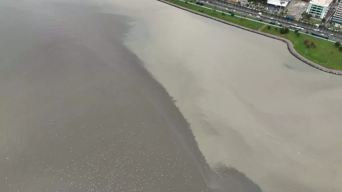 İzmir Körfezi’nin Rengi Kahverengiye Dönüşüyor!