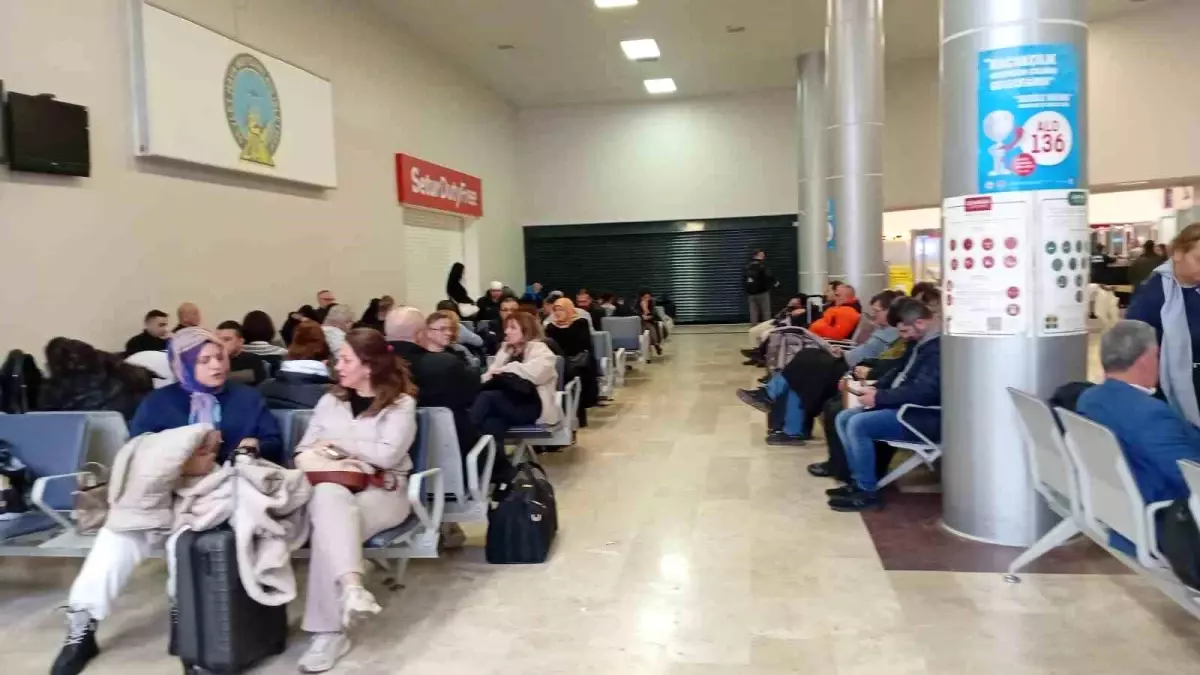 Uçak Martı Sürüsüne Çarptı, Sefer İptal Edildi!