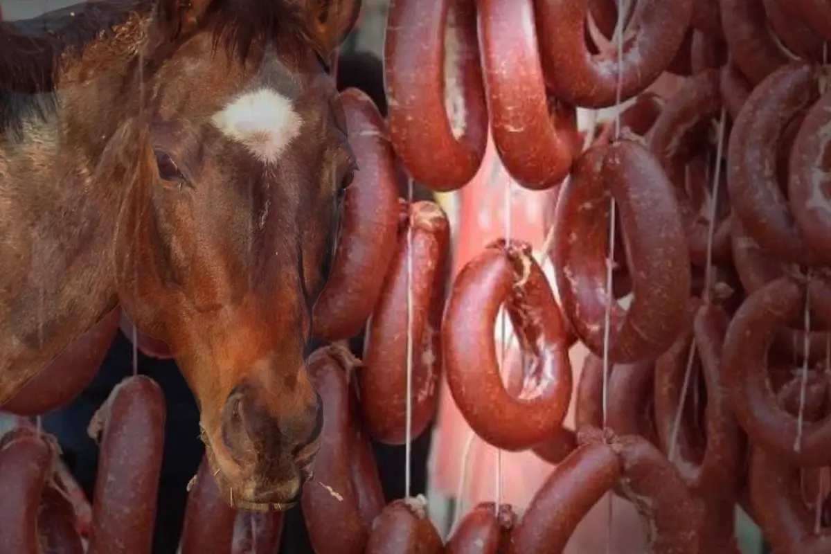 İzmir’de Sucukta Tek Tırnaklı Et Skandalı!