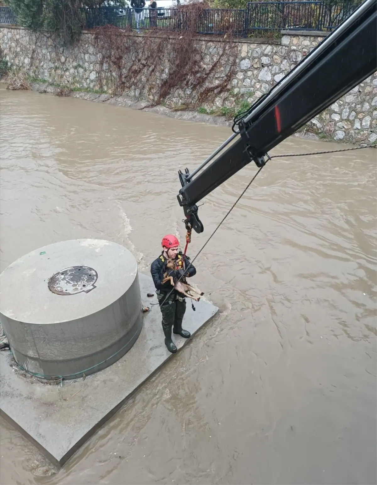 İtfaiye Ekipleri Mahsur Köpeği Kurtardı!