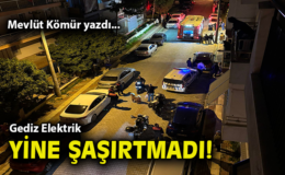 Yangın anında elektrik şirketi neden yoktu?