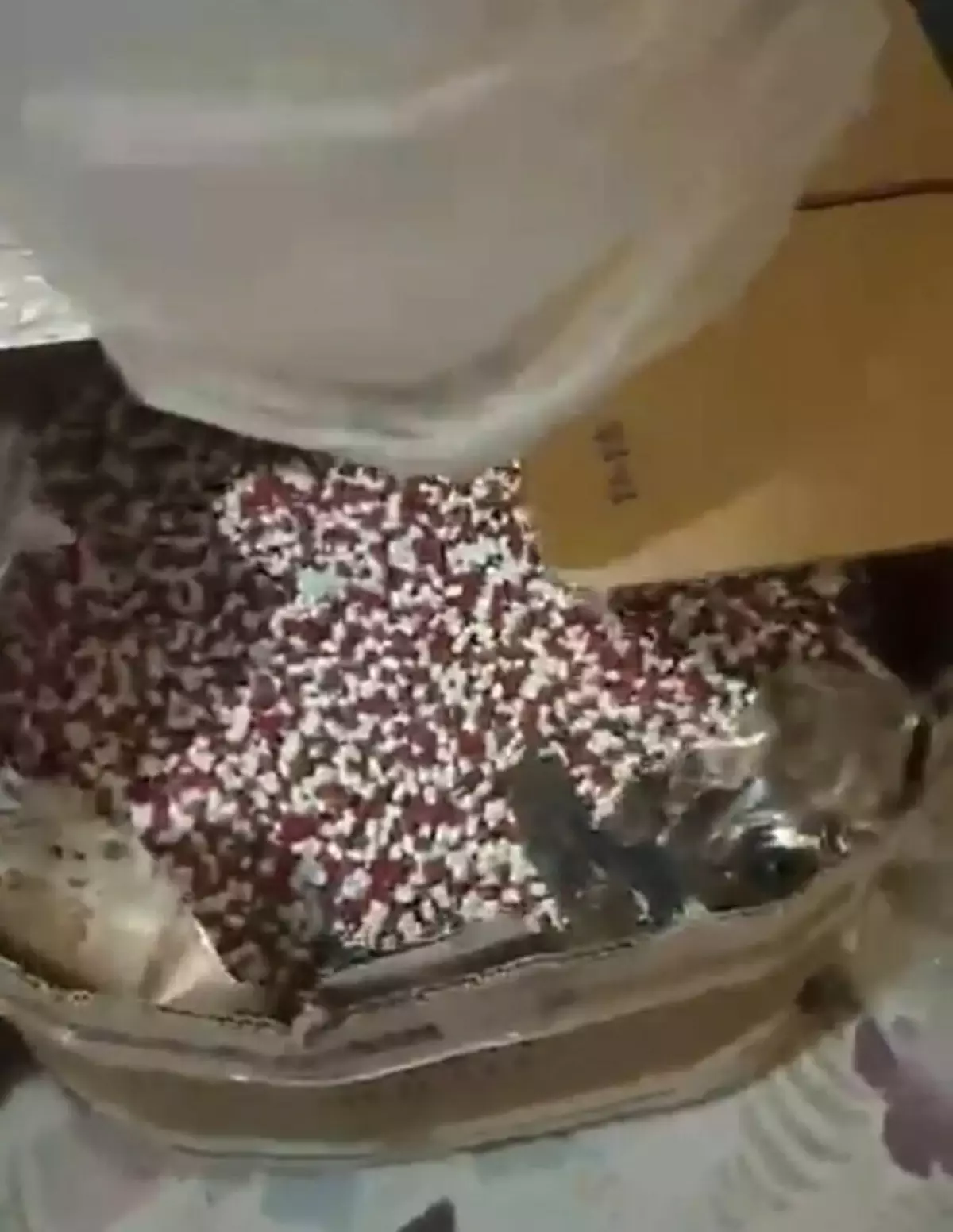 İzmir’de 104 Bin Sentetik Ecza Uyuşturucu Operasyonu!