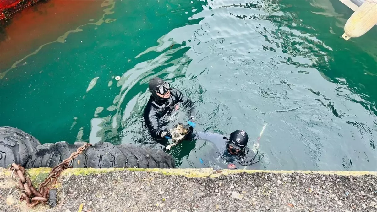 Karşıyaka’da Mahsur Kalan Kedi, İtfaiye ile Kurtarıldı!