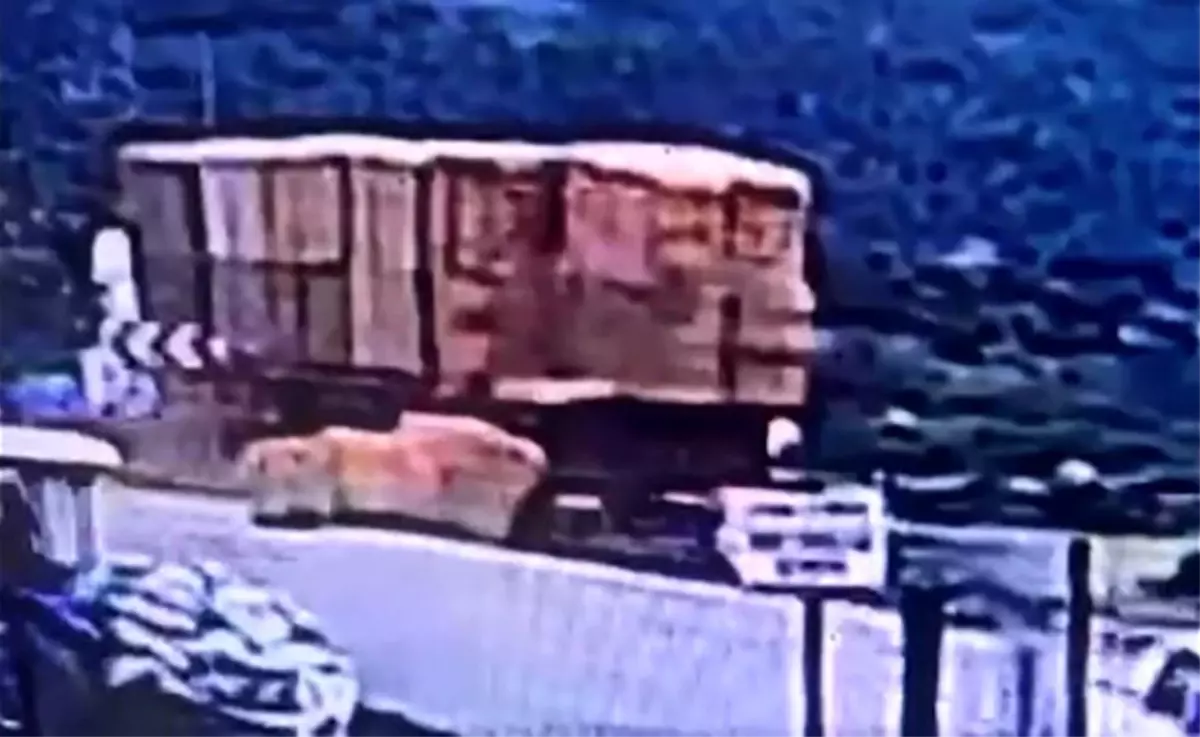 Saman Balyalarının Kurbanı: 53 Yaşındaki Adam Hayatını Kaybetti