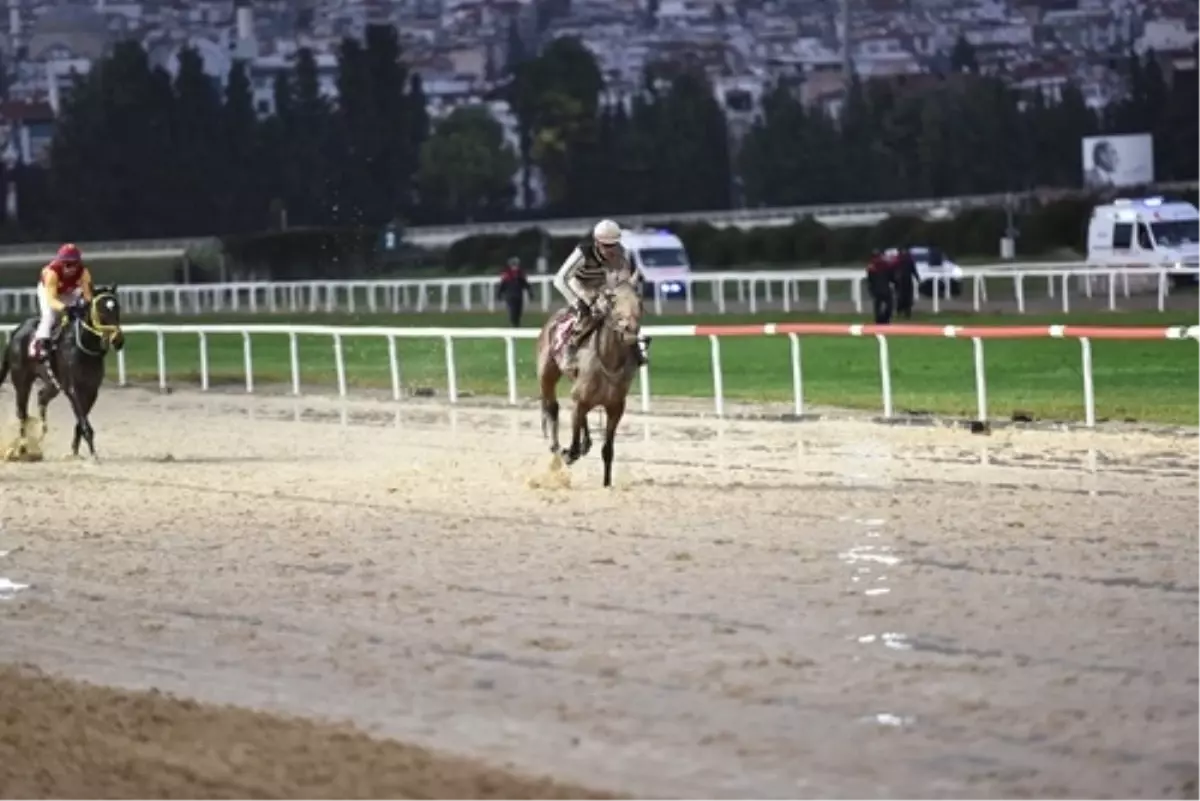 Queen Sev, TSYD İzmir Koşusu’nda Zaferi Elde Etti!