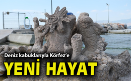 İzmir’de Atık Kabuklardan Yeni Deniz Hayatı!