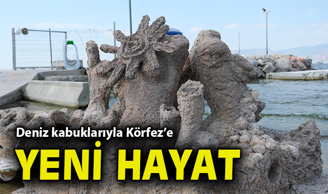 İzmir’de Atık Kabuklardan Yeni Deniz Hayatı!