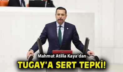 Haklı Hüküm, Gerçekler ve İzmir’in Geleceği