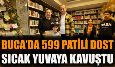 Buca’da Sokak Hayvanlarına 599 Yeni Yuva!
