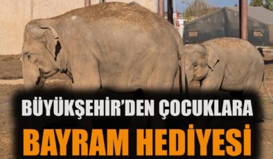 İzmir’de 23 Nisan Coşkusu: Doğal Yaşam Parkı Ücretsiz!