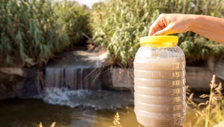 İzmir ve Manisa’da Gediz Nehri Kirliliği Alarm Veriyor!