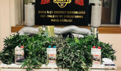 Buca’da Uyuşturucu Yetiştiren 2 Şüpheli Yakalandı!