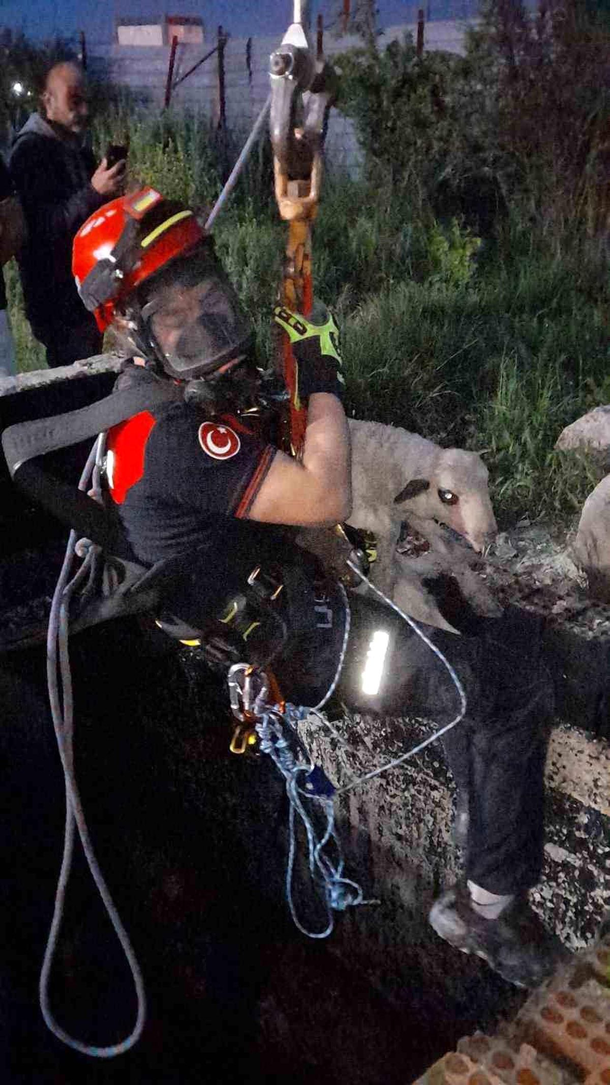 Kuyuya Düşen Kuzu İtfaiye ile Kurtarıldı!