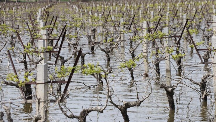 İzmir’deki Sel: TZOB’dan Üreticilere TARSİM Uyarısı
