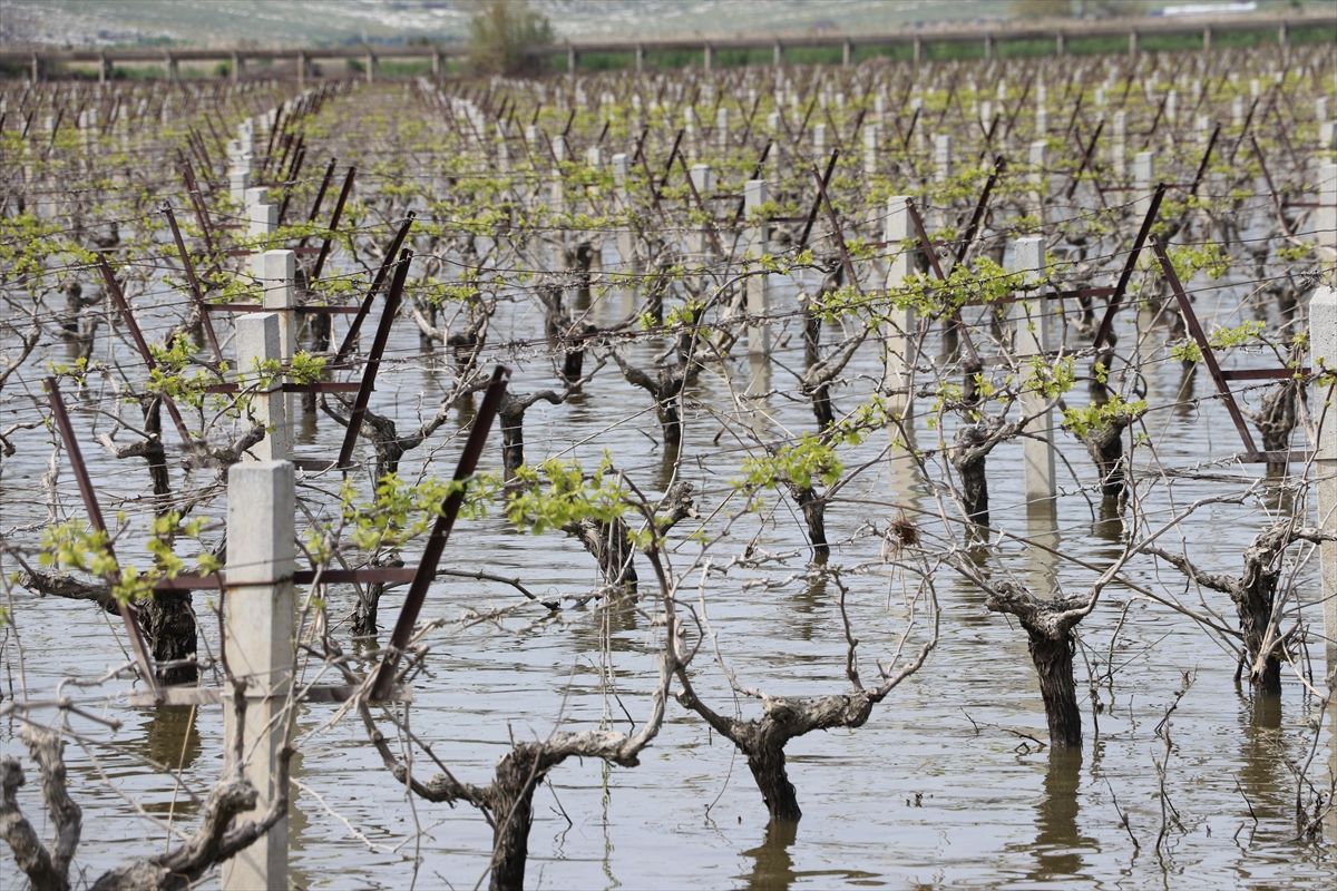 İzmir’deki Sel: TZOB’dan Üreticilere TARSİM Uyarısı